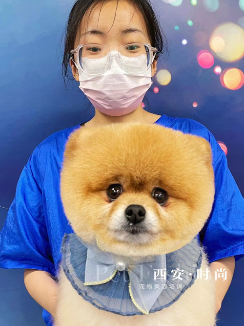 微信图片_20230601170147.jpg