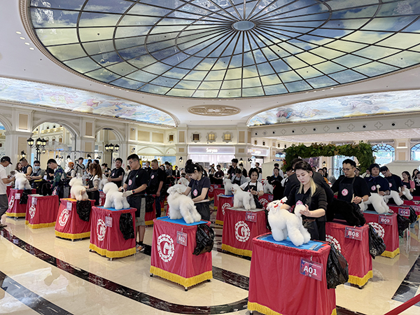 微信图片_20250629203302.jpg