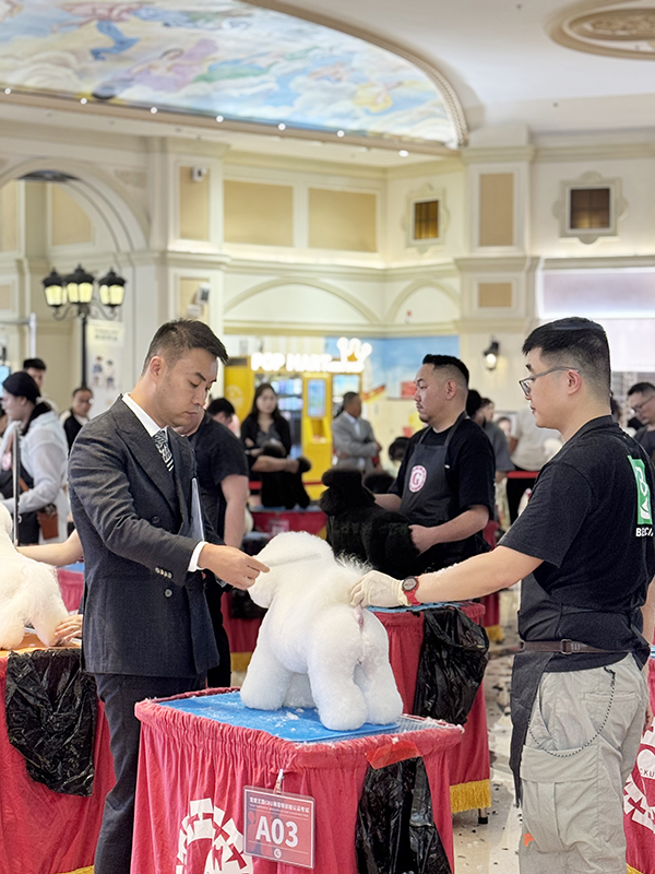 微信图片_20250629203258.jpg