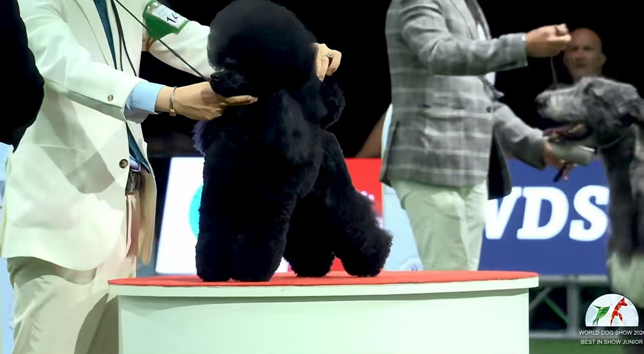 微信图片_2026-06-08_110441_935.png